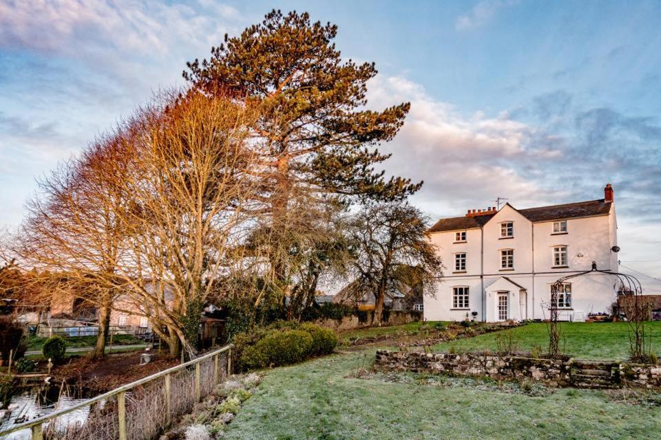 Court Robert Art House B&B Raglan Exterior foto